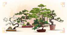 Set Of Bonsai Japanese Trees Grown In Containers. Beautiful Realistic Tree. Tree In Bonsai Style. Bonsai Tree On The Red Box. Decorative Little Tree Vector Illustration. Nature Art