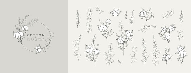 Wall Mural - cotton and eucalyptus plant logo and branch. hand drawn line wedding herb, elegant leaves for invita