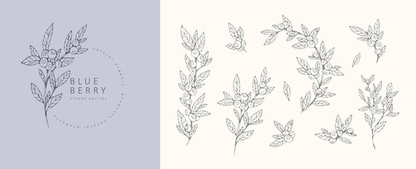 Sticker - Blueberries floral branchand logo set. Hand drawn line wedding berries, elegant leaves for invitation save the date card. Botanical rustic