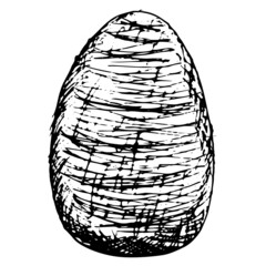 Wall Mural - Hand-drawn doodle of the egg. Rough black and white vector sketch isolated on transparent background