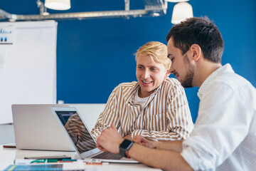 Wall Mural - Two men working in office looking at laptop screen