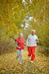 Sticker - fit senior couple running in park