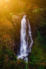 waterfall in the forest