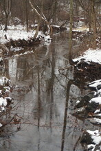 Stream Through Bare Winter Trees With Snow On The Ground