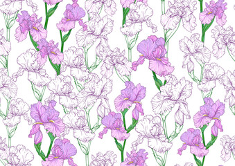 Seamless pattern with Iris flowers, purple and blue irises. Vector illustration Isolated on white background..