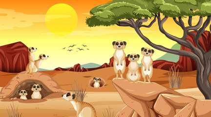 Sticker - Meerkats in tropical grassland landscape