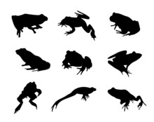 Black Silhouettes Of Frogs On A Separate White Background