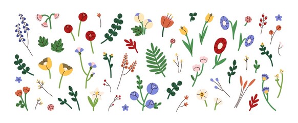 Poster - Modern blossomed flowers set. Abstract blooming floral plants and leaf. Fresh summer floristry, leaves. Nature design elements. Colored flat graphic vector illustrations isolated on white background