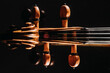 © Westend61 - Studio shot of violin scroll and tuning pegs