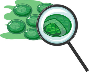 Sticker - Internal structure of chloroplast with thylakoids under magnifying glass isolated on white background