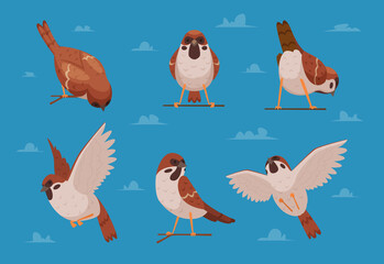 Wall Mural - Sparrows. Cartoon funny birds in various poses chirp characters nature animals exact vector cartoon illustrations of sparrows