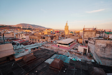 Wall Mural - View of Fez City from the roof top terrace. Fes el Bali Medina, Morocco, Africa