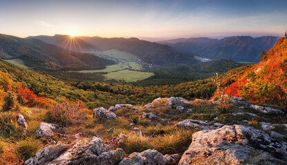 Poster - Majestic trees with sunny beams at mountain valley. Dramatic and picturesque morning scene. Red and yellow leaves. Warm toning effect. Carpathians,  Slovakia, Europe. Beauty world.
