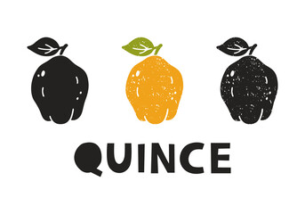 Fototapete - Quince, silhouette icons set with lettering. Imitation of stamp, print with scuffs. Simple black shape and color vector illustration. Hand drawn isolated elements on white background