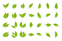 Leaves Icon Set. Set Of Green Leaf For Eco And Bio Logos.