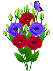 Wall Mural - Eustoma flowers with a butterfly on a white background.