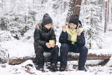 Wall Mural - Happy teenage boys drinking tea from thermos and talking sitting together on log in winter snowy forest. Hot beverage in cold weather. Children having picnic in winter season outdoors. Local travel.