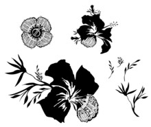 Black White Flowers Silhouette Design Pattern Hibiscus