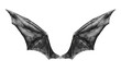 © evegenesis - bat wings isolated on white.