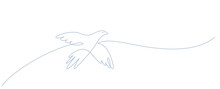 Flying Bird Drawing