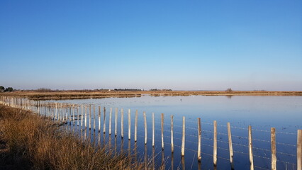 Sticker - Tour Carbonière - Camargue