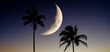 Palm Trees on Beach in Hawaii with Moon in Sky