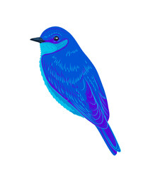 Hand-drawn illustration of a cute little blue bird on isolated background