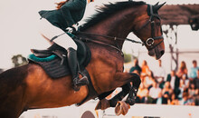 Competitor And His Horse Jumping At An Equestrian Contest