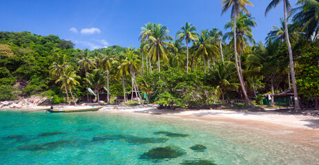 Wall Mural - tropical beach with coconut palm tree