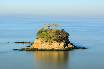 Wall Mural - Rat Rock at China Camp State Park, Marin County, California, USA.