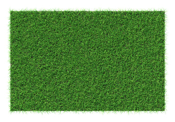 Grass shape - design element isolated