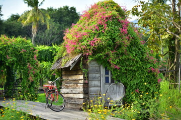 Wall Mural - beautiful flowers and green leaves.Green leaves with beautiful sunlight Used as a background image.	