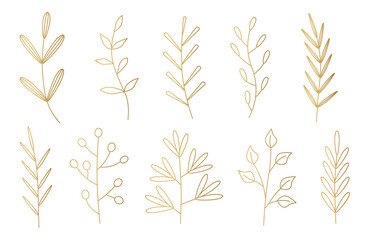 Wall Mural - set of golden branches with leaves- vector illustration