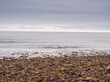 Very stoney beach at Lindisfarne, Holy Island, Northumberland, UK