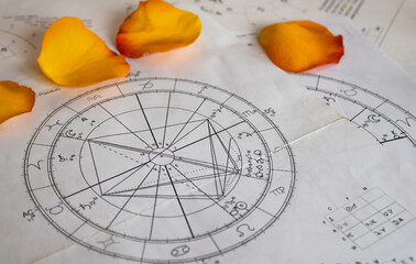 Wall Mural - Printed astrology charts with Vens and Uranus planets; orange rose petals in the background