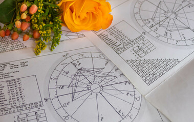 Wall Mural - Printed astrology charts with orange flowers in the background