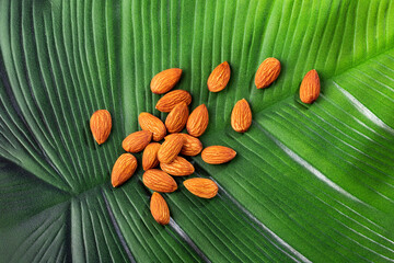 Wall Mural - Prunus dulcis - Organic peeled almonds on green leaf background