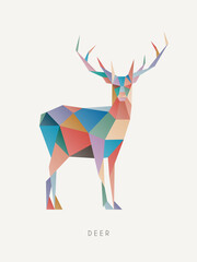 Poster - Polygon deer. Low poly animal logotype. Colorful geometric logo icon