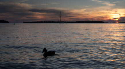 Wall Mural - Magnificent sunset. sunset in Tobermory, Canada