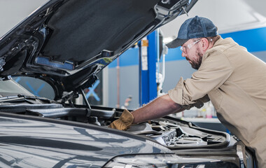 Wall Mural - Vehicles Mechanic Performing Car Maintenance Inside Auto Service