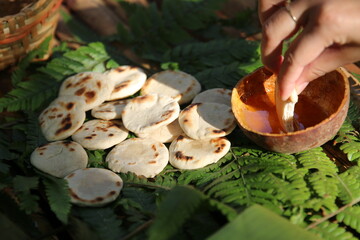 Daily Bread - Eating manna in the rainforest