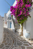 Fototapeta  - Traditional Cycladitic alley with narrow street, whitewashed houses and a blooming bougainvillea flowers in parikia, Paros island, Greece.