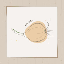 Bulb In Lineart Style. Onion Head With Stem. Vector Illustration Of Vegetable With Colored Spots.