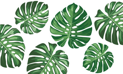 Pattern of Monstera big leaves. Modern bright summer print design from thickets of tropical leaves.