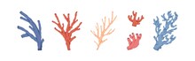 Sea And Ocean Corals Set. Marine Underwater Plants. Tropical Aquatic Undersea Branches. Exotic Under Water Seaweeds, Algae. Colored Hand-drawn Vector Illustration Isolated On White Background