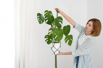 Handmade green macrame plant hangers with potted plant are hanging on woman hand. pot and monstera plant