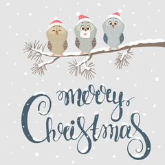 Sticker - owl christmas