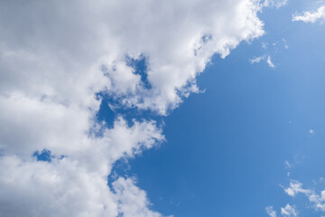 Wall Mural - stock color photography of clear sunny vibrant blue sky with beautiful delicate soft fluffy peaceful