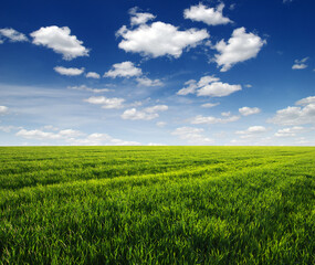 green field and clouds