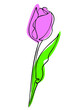 Tulip flower line art with color spots. One line artwork. Minimalist contour drawing. Valentines day card . Isolated on white background. EPS 8